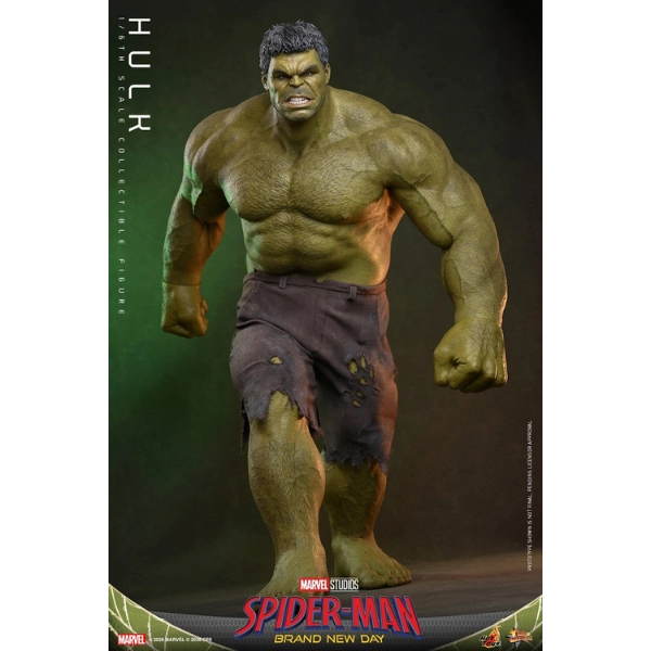 Marvel — Hulk 1/6 Scale Figure (Hot Toys) — Pre-Order
