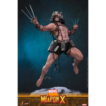 Marvel Comics — Weapon X 1/6 Figure (Hot Toys) — Pre-Order