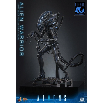 Hot Toys — Alien Warrior 1/6 Figure (Alien, Aliens 40th Anniversary)