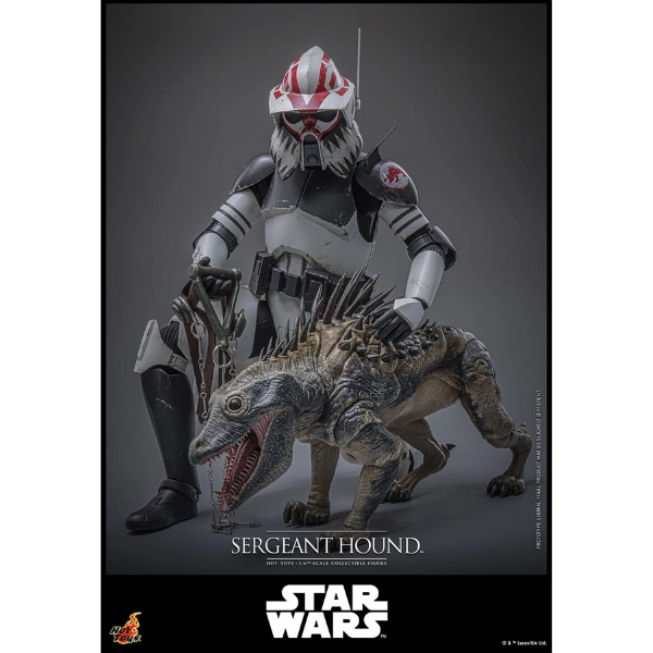 Star Wars — Sergeant Hound 1/6 Figure (Hot Toys, The Clone Wars) — Pre-Order