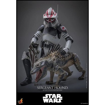 Star Wars — Sergeant Hound 1/6 Figure (Hot Toys, The Clone Wars) — Pre-Order
