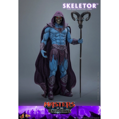 Masters of the Universe — Skeletor 1/6 Figure (Hot Toys) — Pre-Order