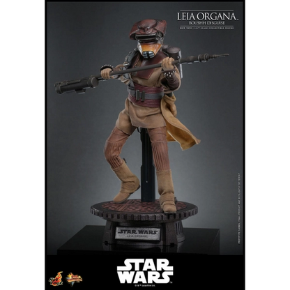 Star Wars — Leia Organa (Boushh Disguise) 1/6 Figure (Hot Toys, Return of the Jedi) — Pre-Order