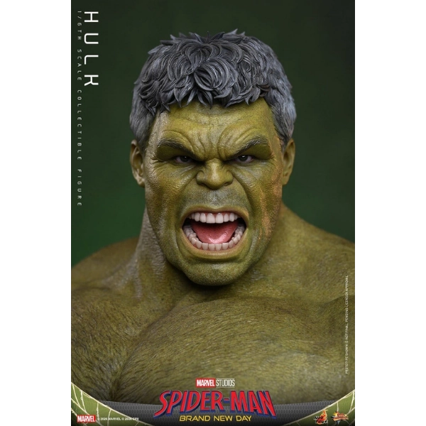 Marvel — Hulk 1/6 Scale Figure (Hot Toys) — Pre-Order