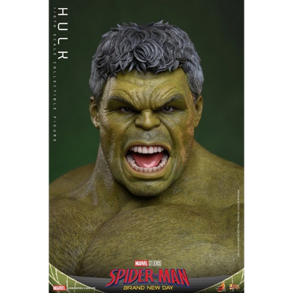 Marvel — Hulk 1/6 Scale Figure (Hot Toys) — Pre-Order