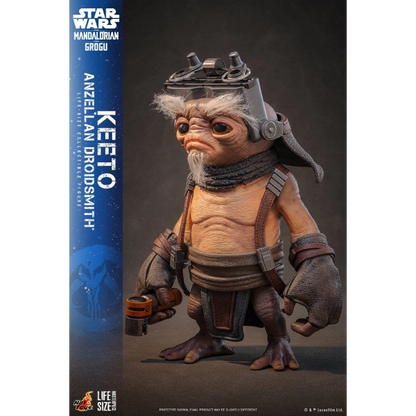 Star Wars — Keeto (Anzellan Droidsmith) Life-Size Figure (Hot Toys, The Mandalorian & Grogu) — Pre-Order