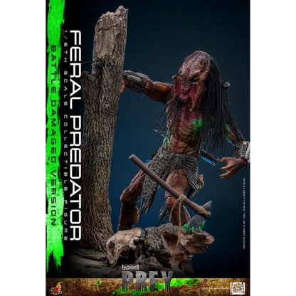 Prey — Feral Predator (Battle Damaged Version) 1/6 Figure (Hot Toys) — Pre-Order