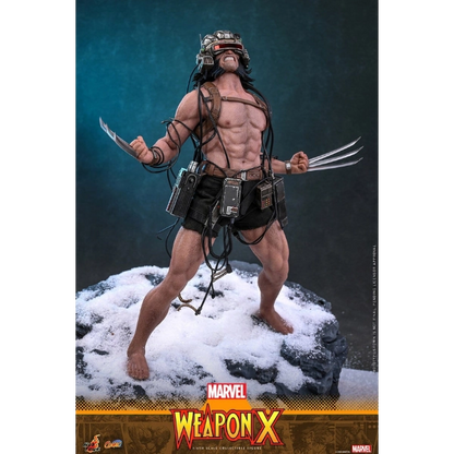 Marvel Comics — Weapon X 1/6 Figure (Hot Toys) — Pre-Order
