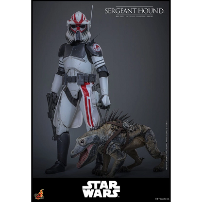 Star Wars — Sergeant Hound 1/6 Figure (Hot Toys, The Clone Wars) — Pre-Order