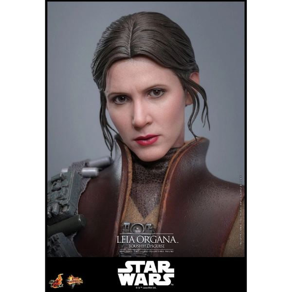 Star Wars — Leia Organa (Boushh Disguise) 1/6 Figure (Hot Toys, Return of the Jedi) — Pre-Order