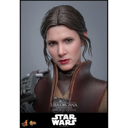 Star Wars — Leia Organa (Boushh Disguise) 1/6 Figure (Hot Toys, Return of the Jedi) — Pre-Order