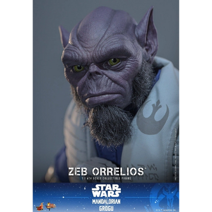 Star Wars — Zeb Orrelios 1/6 Figure (Hot Toys, The Mandalorian & Grogu) — Pre-Order