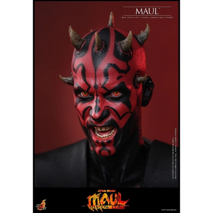 Star Wars — Maul 1/6 Figure (Hot Toys, Star Wars: Maul — Shadow Lord) — Pre-Order