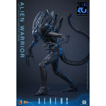 Hot Toys — Alien Warrior 1/6 Figure (Alien, Aliens 40th Anniversary)