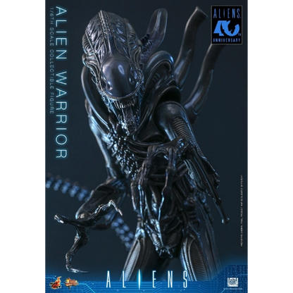 Hot Toys — Alien Warrior 1/6 Figure (Alien, Aliens 40th Anniversary)