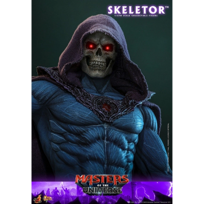 Masters of the Universe — Skeletor 1/6 Figure (Hot Toys) — Pre-Order