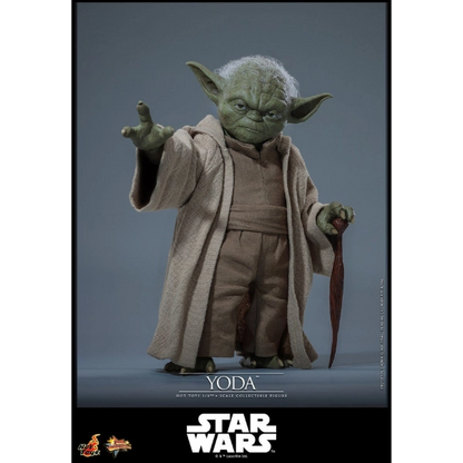Star Wars — Yoda 1/6 Figure (Hot Toys, Revenge of the Sith) — Pre-Order