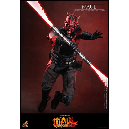 Star Wars — Maul 1/6 Figure (Hot Toys, Star Wars: Maul — Shadow Lord) — Pre-Order