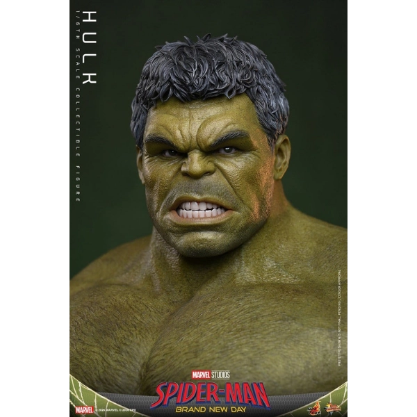 Marvel — Hulk 1/6 Scale Figure (Hot Toys) — Pre-Order