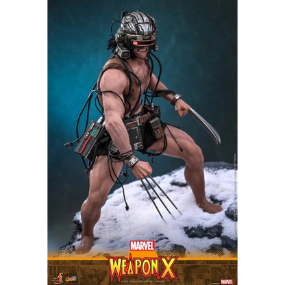 Marvel Comics — Weapon X 1/6 Figure (Hot Toys) — Pre-Order