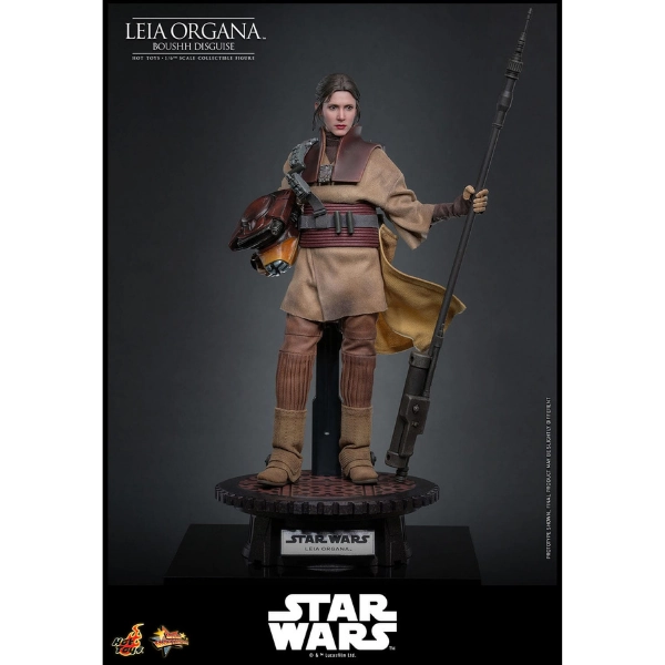 Star Wars — Leia Organa (Boushh Disguise) 1/6 Figure (Hot Toys, Return of the Jedi) — Pre-Order