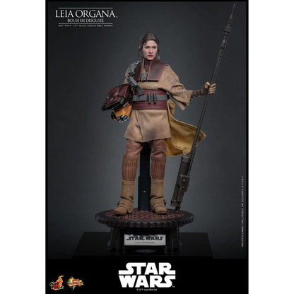 Star Wars — Leia Organa (Boushh Disguise) 1/6 Figure (Hot Toys, Return of the Jedi) — Pre-Order