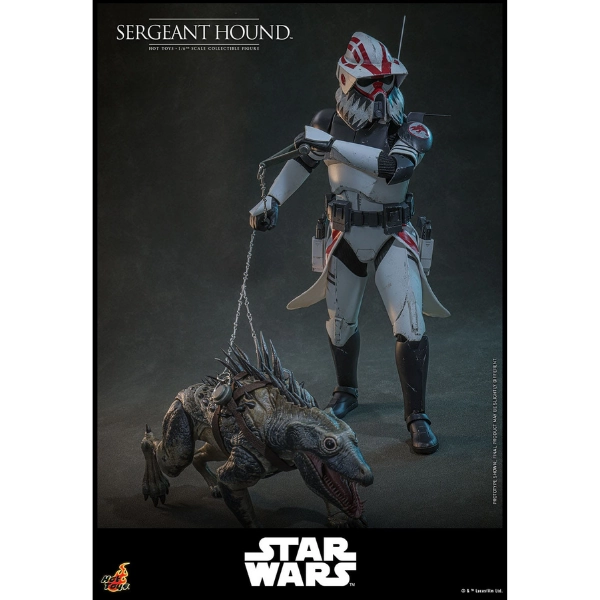 Star Wars — Sergeant Hound 1/6 Figure (Hot Toys, The Clone Wars) — Pre-Order