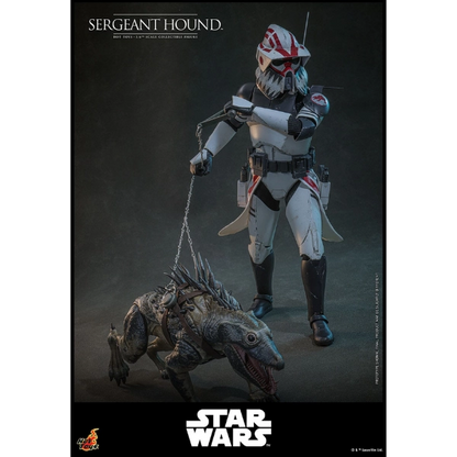 Star Wars — Sergeant Hound 1/6 Figure (Hot Toys, The Clone Wars) — Pre-Order