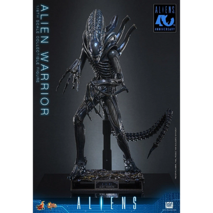 Hot Toys — Alien Warrior 1/6 Figure (Alien, Aliens 40th Anniversary)