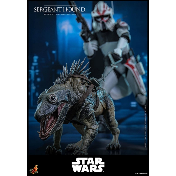 Star Wars — Sergeant Hound 1/6 Figure (Hot Toys, The Clone Wars) — Pre-Order
