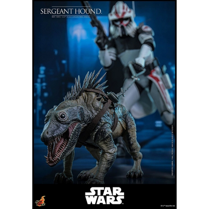 Star Wars — Sergeant Hound 1/6 Figure (Hot Toys, The Clone Wars) — Pre-Order