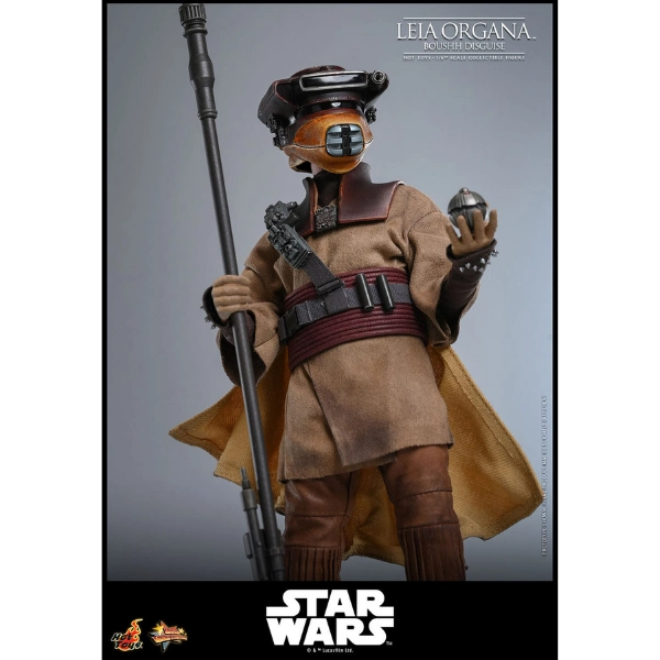 Star Wars — Leia Organa (Boushh Disguise) 1/6 Figure (Hot Toys, Return of the Jedi) — Pre-Order