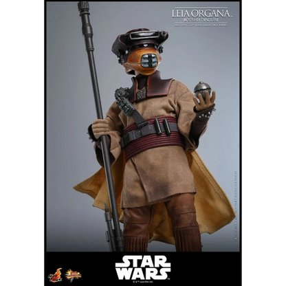 Star Wars — Leia Organa (Boushh Disguise) 1/6 Figure (Hot Toys, Return of the Jedi) — Pre-Order