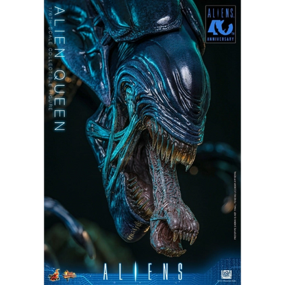Alien — Alien Queen 1/6 Scale Figure (Hot Toys, Aliens 40th Anniversary) — Pre-Order