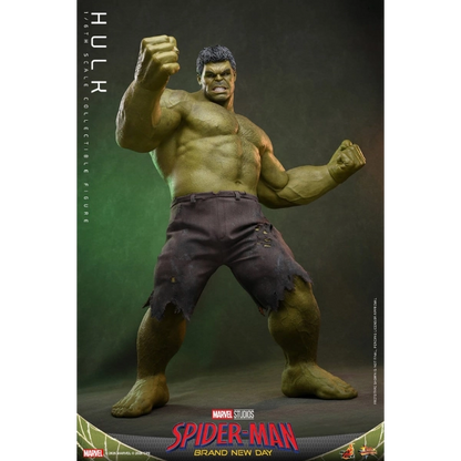 Marvel — Hulk 1/6 Scale Figure (Hot Toys) — Pre-Order