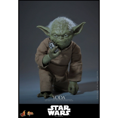 Star Wars — Yoda 1/6 Figure (Hot Toys, Revenge of the Sith) — Pre-Order