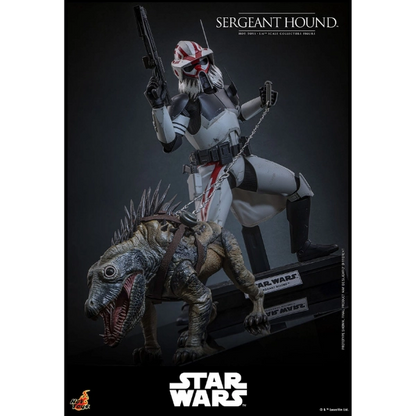 Star Wars — Sergeant Hound 1/6 Figure (Hot Toys, The Clone Wars) — Pre-Order