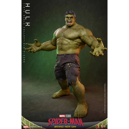 Marvel — Hulk 1/6 Scale Figure (Hot Toys) — Pre-Order