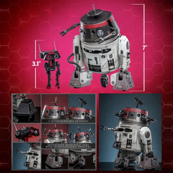 Star Wars — Chopper (C1-10P) & BD-1 (Imperial Disguise) 1/6 Figure Set (Hot Toys, Limited Edition of 2,000) — In Stock