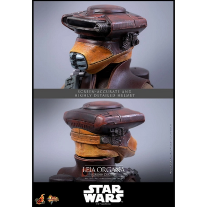 Star Wars — Leia Organa (Boushh Disguise) 1/6 Figure (Hot Toys, Return of the Jedi) — Pre-Order