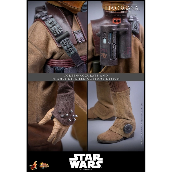 Star Wars — Leia Organa (Boushh Disguise) 1/6 Figure (Hot Toys, Return of the Jedi) — Pre-Order