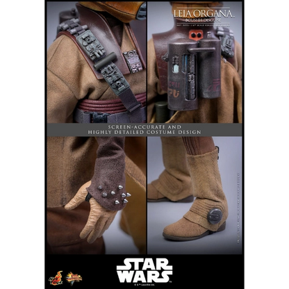 Star Wars — Leia Organa (Boushh Disguise) 1/6 Figure (Hot Toys, Return of the Jedi) — Pre-Order