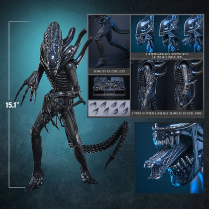 Hot Toys — Alien Warrior 1/6 Figure (Alien, Aliens 40th Anniversary)