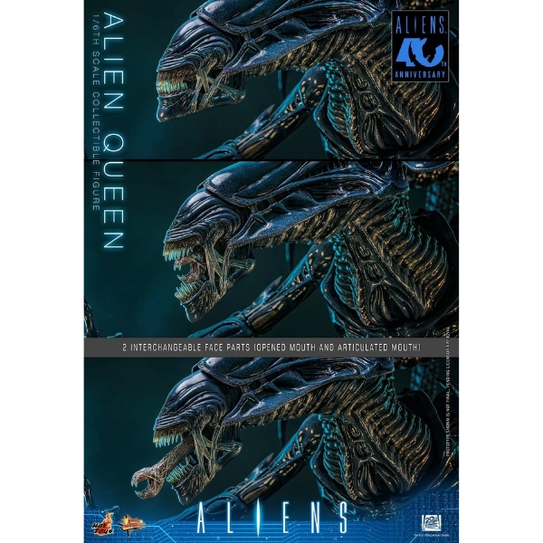 Alien — Alien Queen 1/6 Scale Figure (Hot Toys, Aliens 40th Anniversary) — Pre-Order