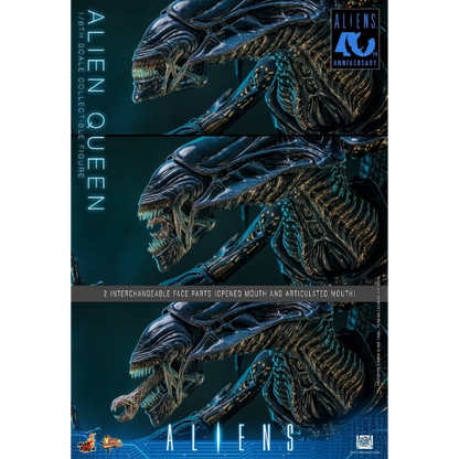 Alien — Alien Queen 1/6 Scale Figure (Hot Toys, Aliens 40th Anniversary) — Pre-Order