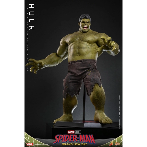 Marvel — Hulk 1/6 Scale Figure (Hot Toys) — Pre-Order