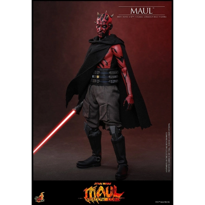 Star Wars — Maul 1/6 Figure (Hot Toys, Star Wars: Maul — Shadow Lord) — Pre-Order